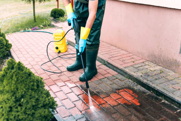 Best Roof Washing  in Cabin John, MD